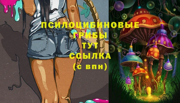 твердый Нея