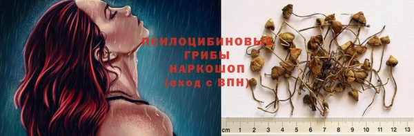 кокаин Новодвинск