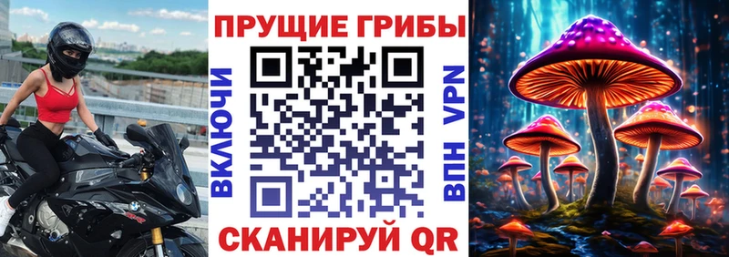 Галлюциногенные грибы Psilocybe  Кадников 